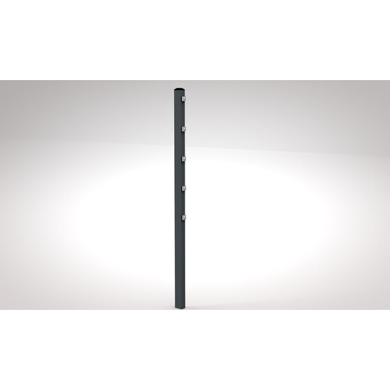 Pfosten mit Punktbefestigung  RAL- Passende fr DSM