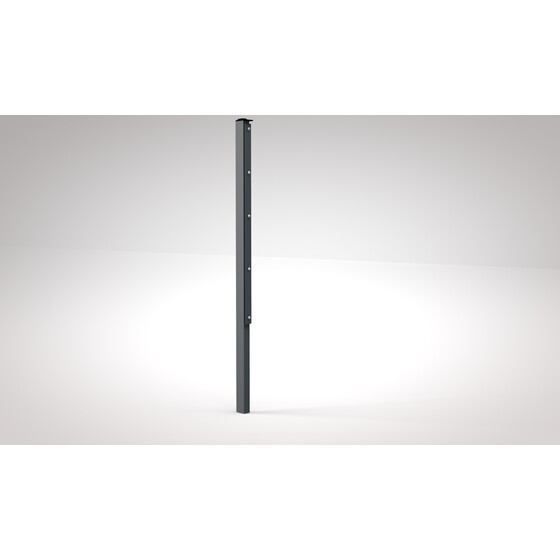 Pfosten mit Abdeckleiste RAL - Passende fr DSM