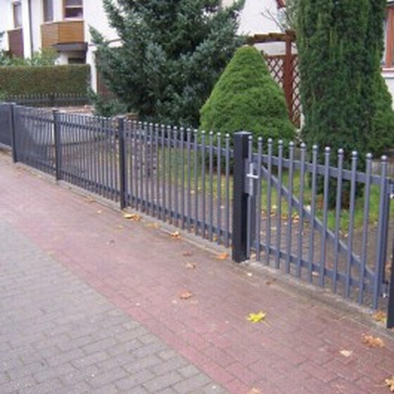 Gehtr PARIS  fr Lichte Breite 1500 mm Ohne Pfosten