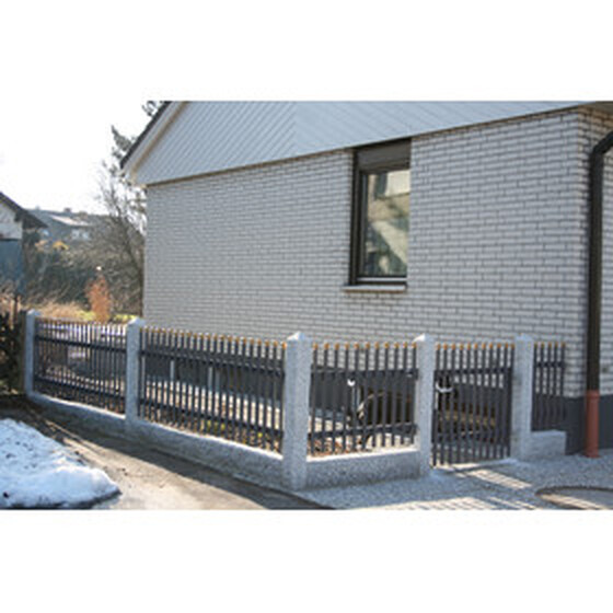 Gehtr PARIS  fr Lichte Breite 1500 mm Ohne Pfosten